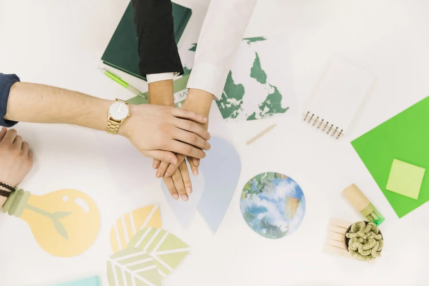 5 Empresas más sustentables en México