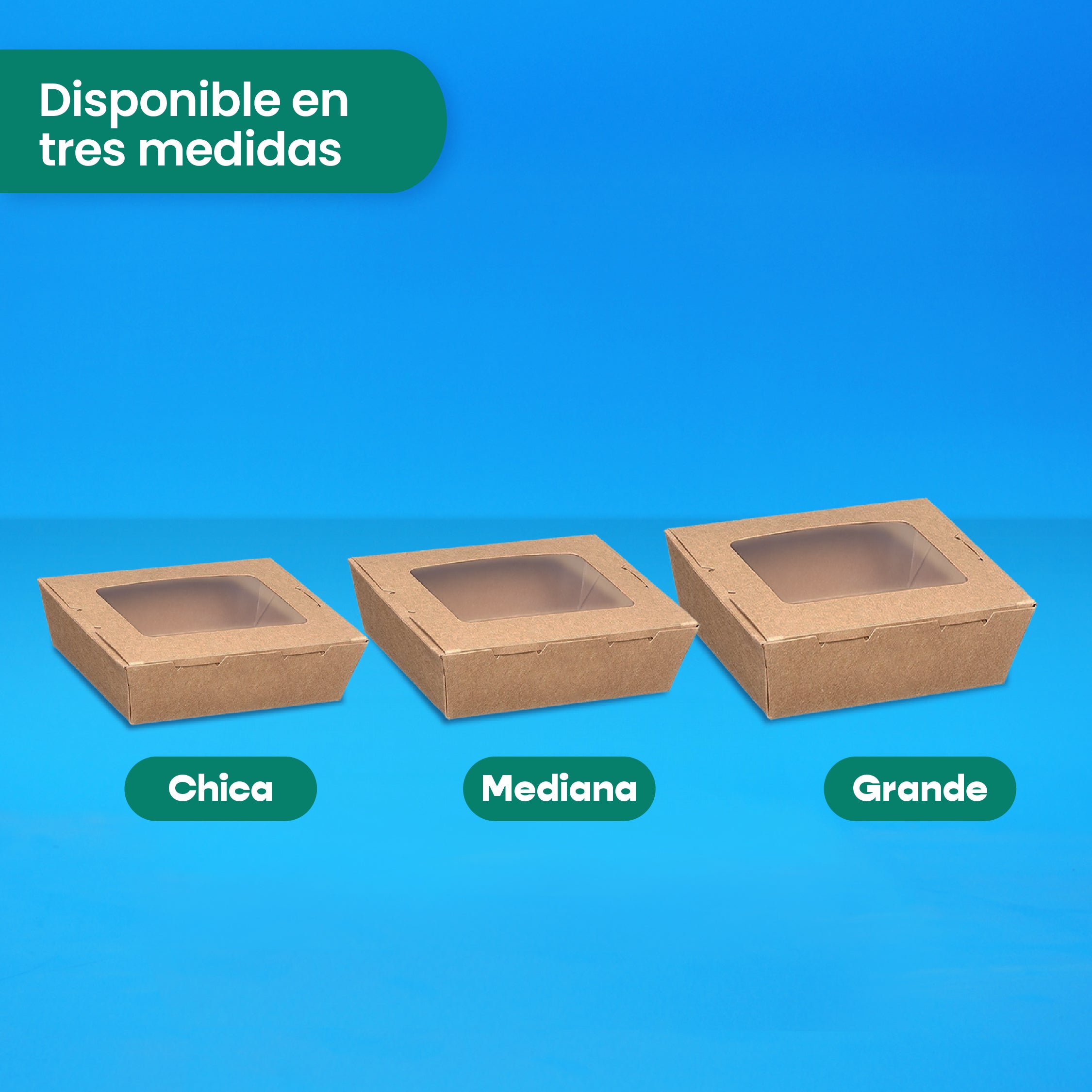 Caja Papel Con Ventana Delivery | Papel PLA | Grande | Compostable y biodegradable