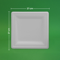 Plato Cuadrado | Bagazo de caña | 10" / 25.4 cm | Compostable y biodegradable