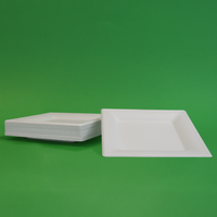 Plato Cuadrado | Bagazo de caña | 10" / 25.4 cm | Compostable y biodegradable