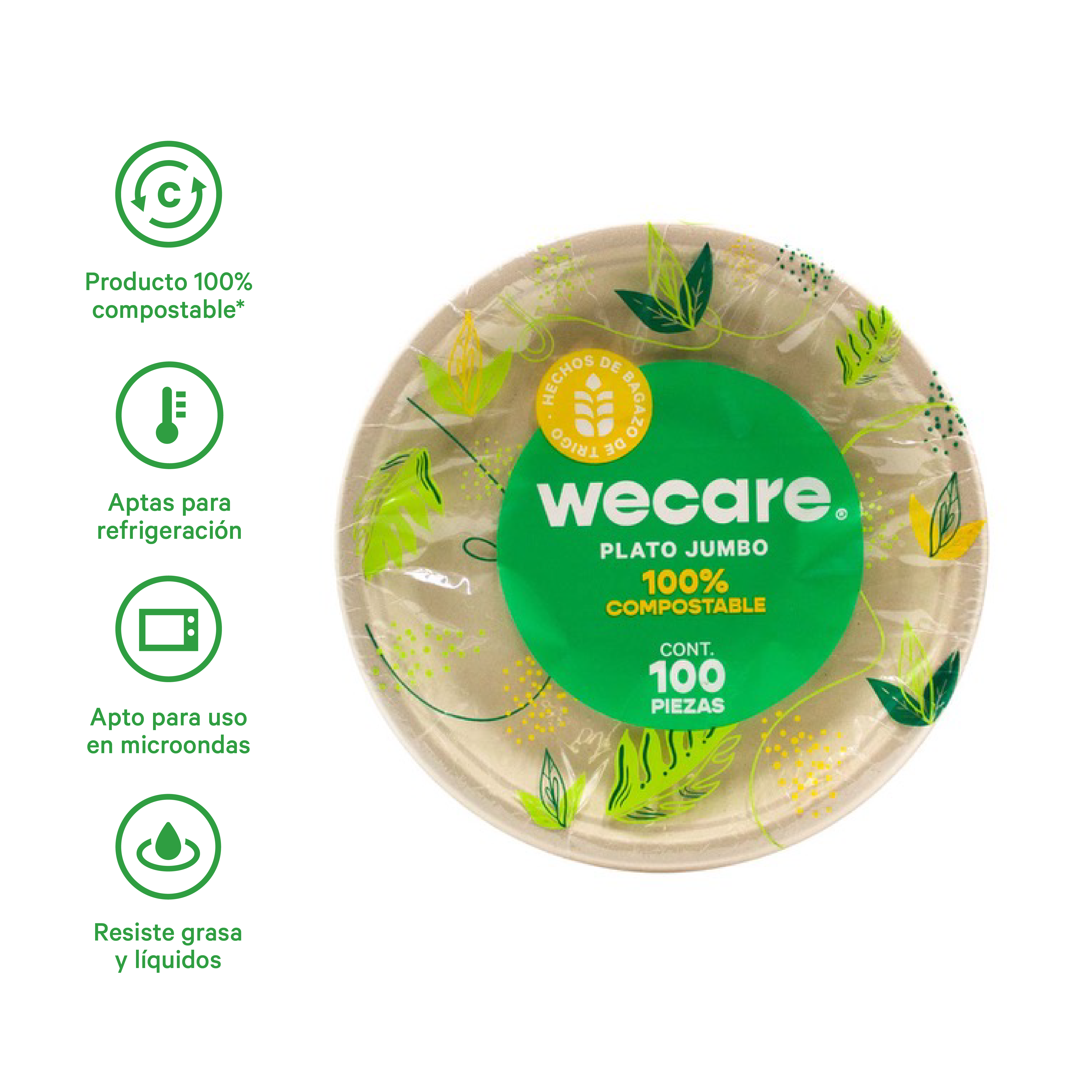 Plato Pastelero Liso | Bagazo de Trigo | 10 Pulgadas | 25 cm | Compostable
