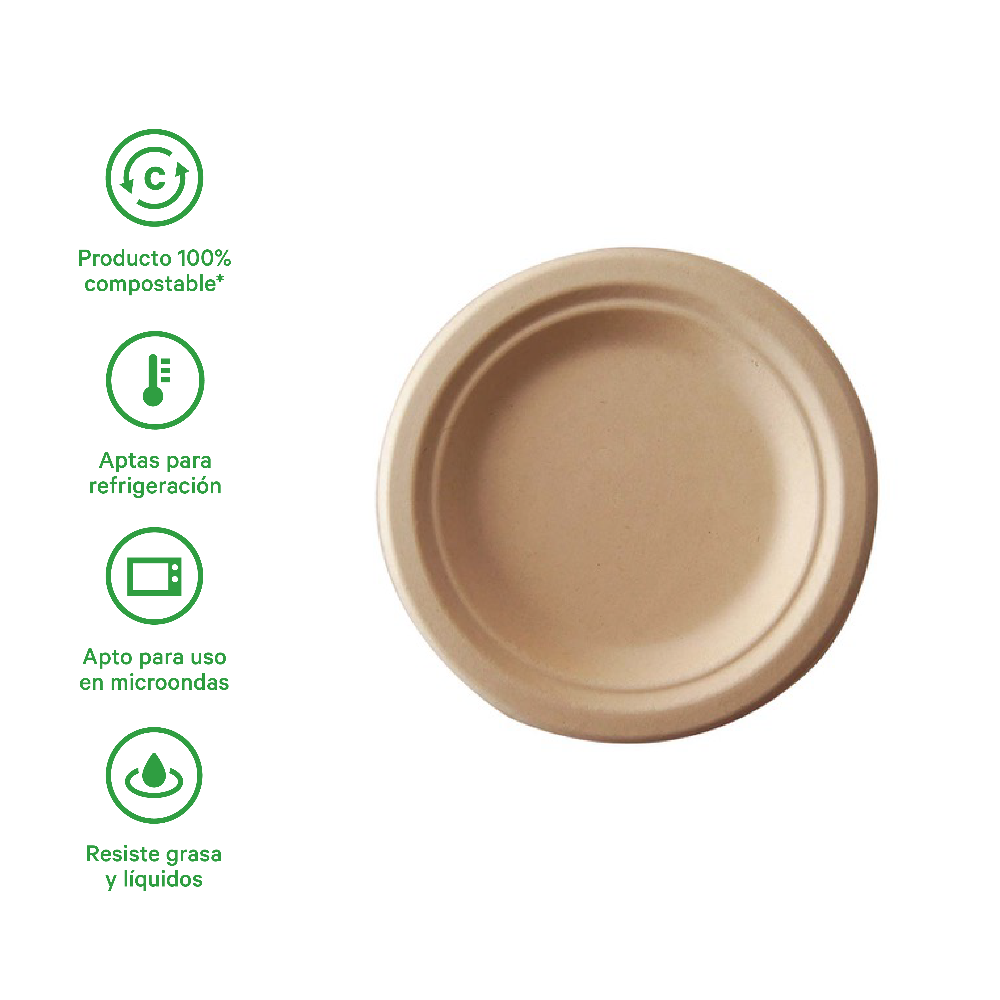 Plato Grande Liso | Bagazo de Trigo | 8.75 Pulgadas | 22 cm | Compostable