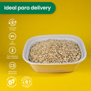 Lunch Box | Bagazo Trigo | 44 oz | Compostable y biodegradable