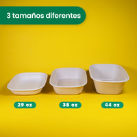 Lunch Box | Bagazo Trigo | 44 oz | Compostable y biodegradable