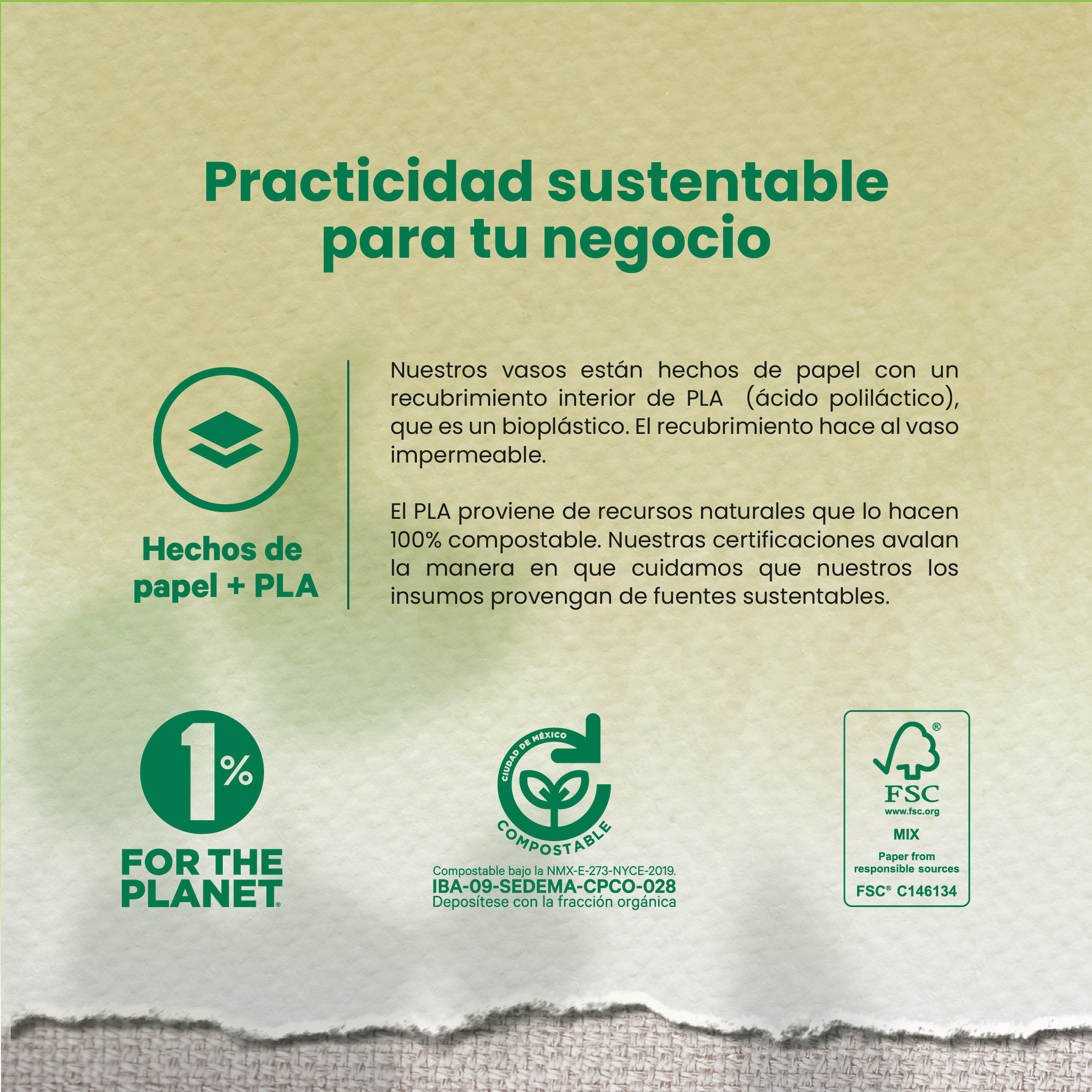 Vaso Térmico Con Diseño Cafetero | Papel - Ácido  Poliláctico PLA | 12 oz / 355 ml | Compostable y biodegradable