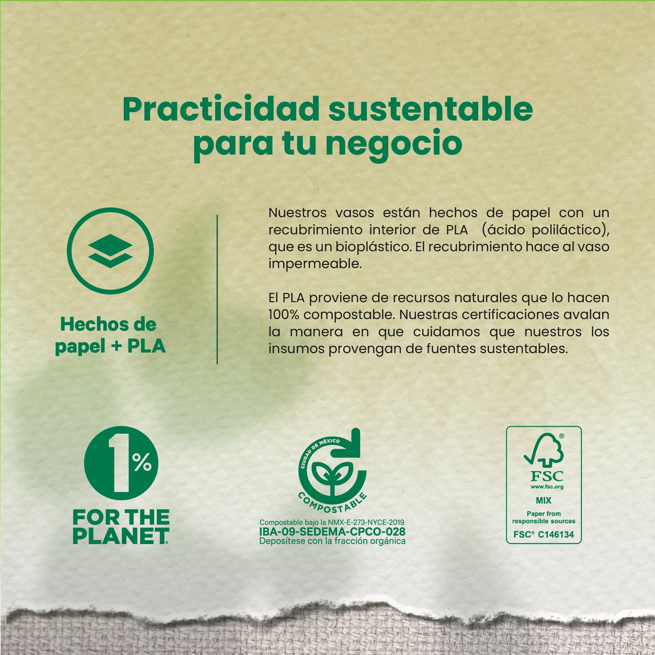 Contenedor Vaso Térmico | Papel - Ácido  Poliláctico PLA | 16 oz / 473 ml | Compostable y biodegradable