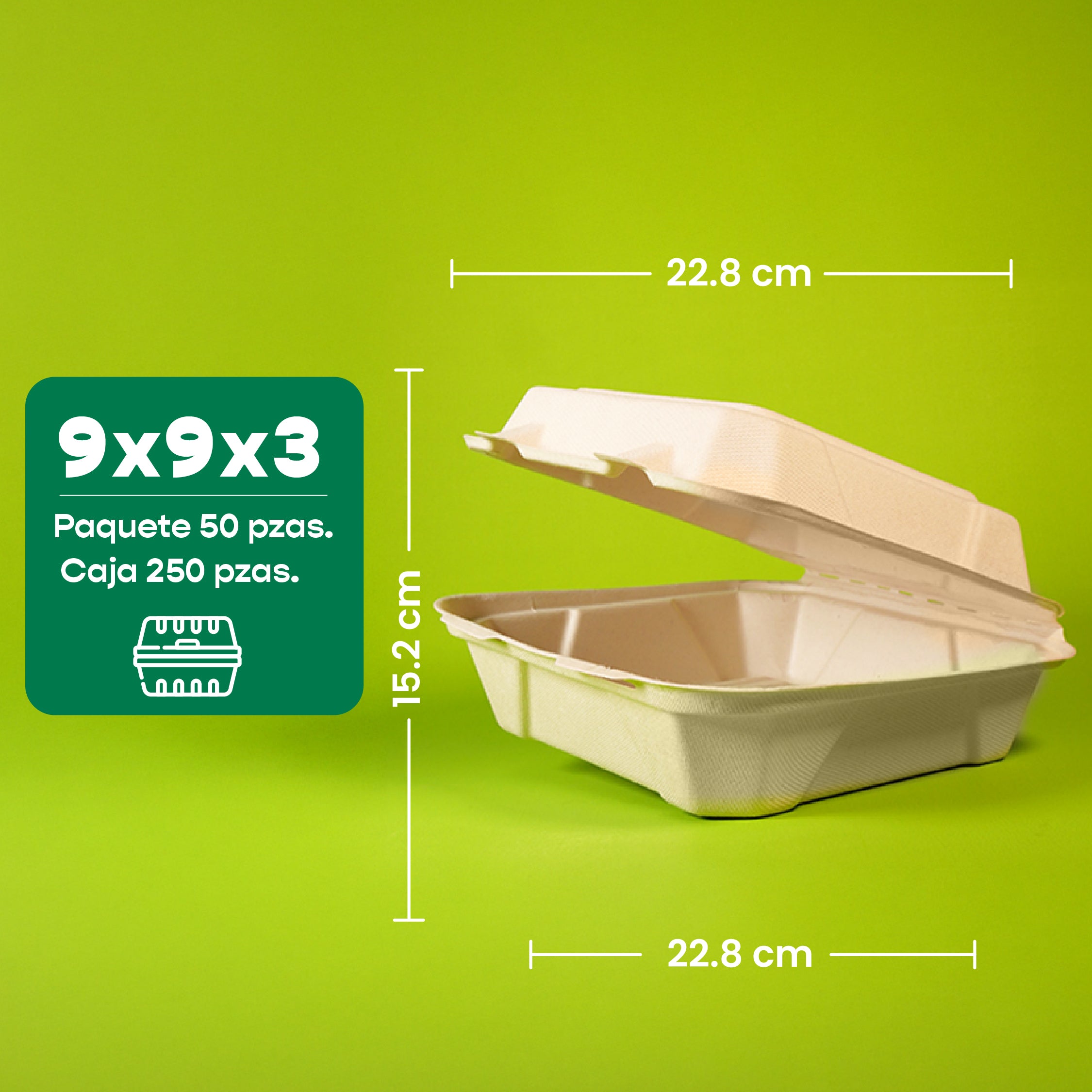 Contenedor Almeja | Bagazo Trigo | 9x9x3 / 22.8x22.8x7.6 cm | Compostable y biodegradable