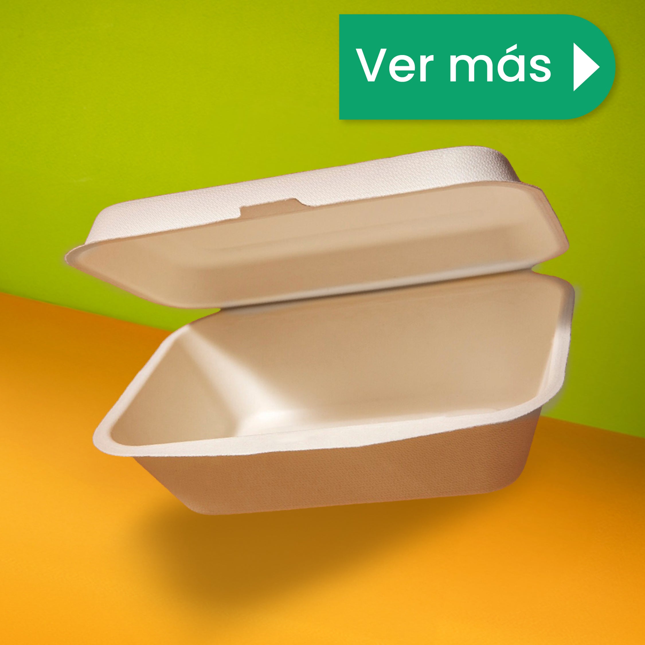 Contenedor Almeja 2 div. | Bagazo Trigo | 9x6x3 / 22.8x15.2x7.6 cm | Compostable y biodegradable