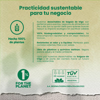 Contenedor Almeja 2 div. | Bagazo Trigo | 9x6x3 / 22.8x15.2x7.6 cm | Compostable y biodegradable