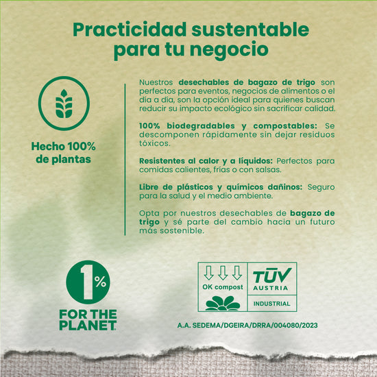 Plato Liso Extra Grande Retail  | Bagazo Trigo | 10" / 25.4 cm | Compostable y biodegradable