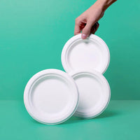 Plato Liso Desechable y Biodegradable De 9 - We Care - Plato