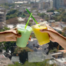 Popotes Desechable y Biodegradable - We Care - Popotes